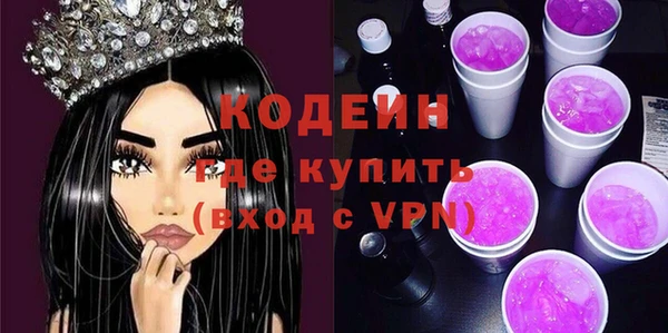 mdpv Вяземский