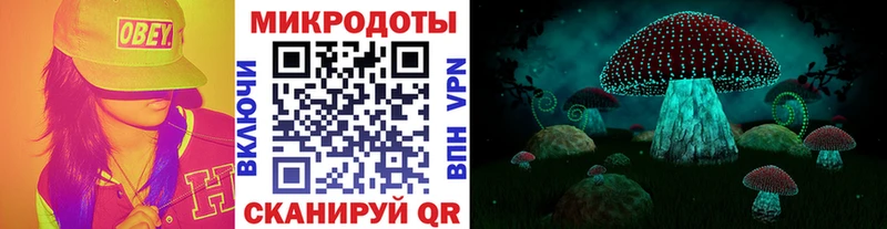 что такое наркотик Енисейск Псилоцибиновые грибы прущие грибы